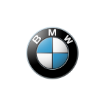 BMW racing pads 