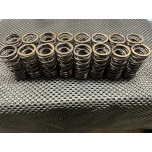 BMW P45B20 WTCC engine valve spring kit