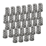 BMW S65 Supertech Valve Spring Kit