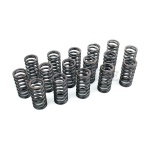 BMW M57 , N57  performance valve spring kit