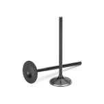 EA888 Black Nitrided Intake Valve