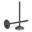 supertech-intake-valves.jpg